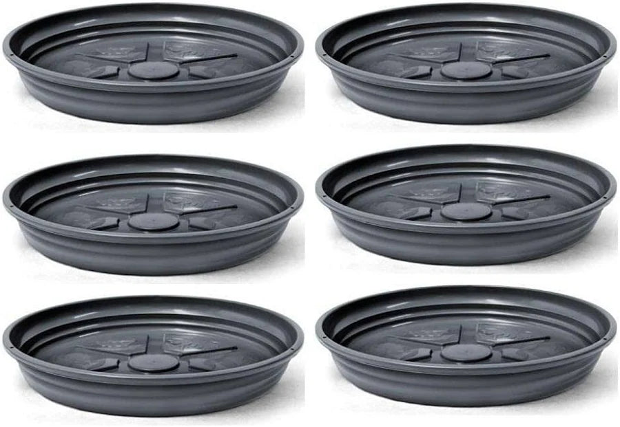 Conjunto Pratos para Vaso (6 un.)