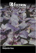 Sementes Manjericão Roxo